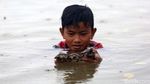 Ratusan Tukik Tuntong Laut Dilepas ke Habitatnya