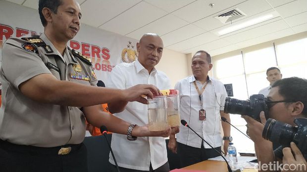 Sampel benih lobster yang akan diselundupkan