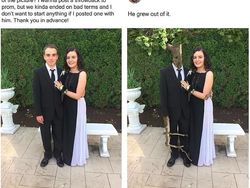 Bikin Ngakak, Ulah Terbaru Pakar Photoshop Kocak