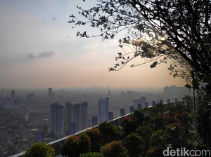 Kualitas Polusi Udara Jakarta Sentuh Angka 184, Apa Artinya?