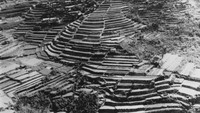 Rice Field Terraces ini adalah ladang sawah penanam padi di negara China. Perjuangan mereka membangun terasering yang memukau ini harus menghadapi sejumlah tantangan  di medan yang sangat sulit agar bisa difungsikan sebagai lahan untuk menanam padi sebagai sumber kehidupan mereka. Istimewa/Three Lions/Getty Images.