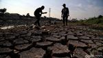 Potret Sungai Ciliwung Mulai Mengering Akibat Kemarau