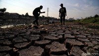 Sudah hampir sebulan air Sungai Ciliwung mengalami penyurutan karena musim kemarau.