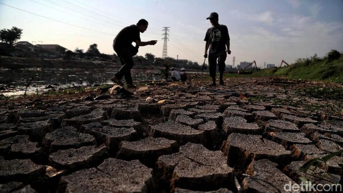 Foto: Pradita Utama Foto: Pradita Utama