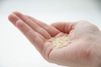 Keren! Makanan Tinggi Protein Ini Dibuat dengan Listrik, Air dan Udara