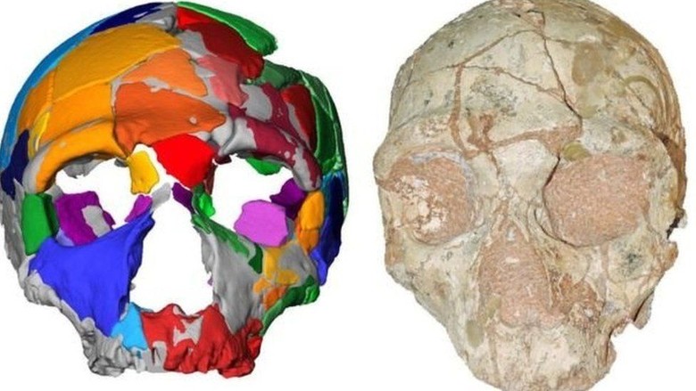 Homo Sapiens Paling Awal Berusia 210 Ribu Tahun Ditemukan di Luar Afrika Homo Sapiens Paling Awal Berusia 210 Ribu Tahun Ditemukan di Luar Afrika