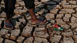 Potret Sungai Ciliwung Mulai Mengering Akibat Kemarau