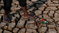 Pada Juli-September diperkirakan 10 Balai Besar Wilayah Sungai (BBWS) terdampak kemarau. 