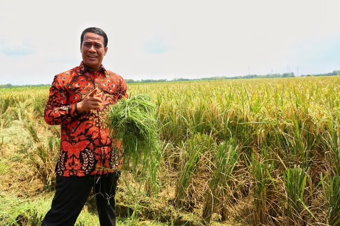 Foto: Kementan Foto: Kementan