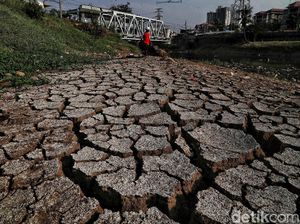 BMKG: Kekeringan Terpanjang di Sumba Timur, 126 Hari Tanpa Hujan