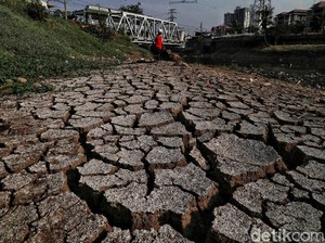 BMKG: Kekeringan Terpanjang di Sumba Timur, 126 Hari Tanpa Hujan