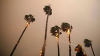 Petugas pemadam kebakaran memadamkan api yang membakar pohon palem di Amerika Serikat pada tahun 2018. (Reuters).