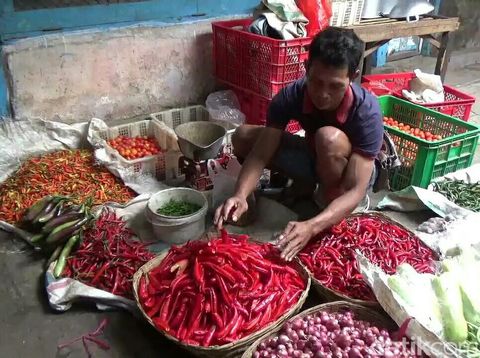 Cabai tanpa biji/