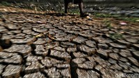 Tanah di pinggir sungai mulai retak-retak.