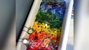 Penyuka pelangi mungkin akan merasa sayang menceburkan diri di bak mandi penuh bunga warna warni ini. Foto: via Trend Chaser