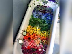 Kumpulan Foto Buat yang Suka Pelangi