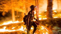 Petugas pemadam kebakaran yang mengendalikan api disebut Rough Fire di Hutan Sequoia National, Amerika Serikat. (Reuters).