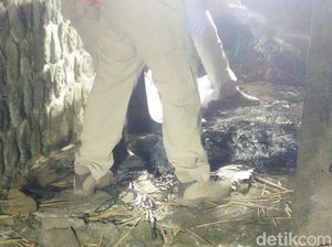 Sebelum Dihabisi, Korban Mutilasi Tagih Uang yang Dipinjam Pelaku