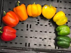 Kumpulan Foto Buat yang Suka Pelangi