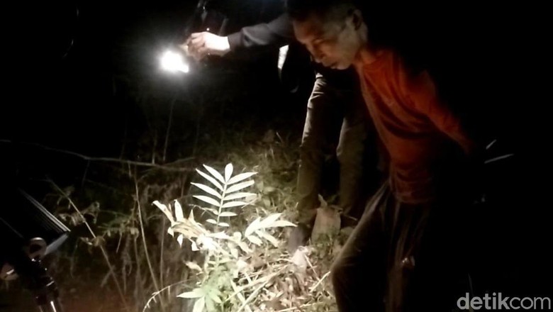 Kenalan dengan Korban di FB, Pemutilasi di Banyumas Pakai Foto Editan Kenalan dengan Korban di FB, Pemutilasi di Banyumas Pakai Foto Editan