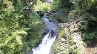 Rasa lelah sirna ketika dua curug pertama, Curug Golosor dan Curug Putri menyambut. Air Curug Putri berasal dari tebing setinggi kurang lebih 30 meter. Debitnya kecil, namun airnya jernih (Yudha Maulana/detikcom)