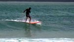 Foto: Ramainya Pantai Pulau Merah Saat Libur Sekolah