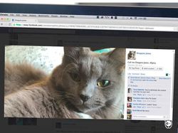 Dampak Kocak Teknologi: Kucing Jadul vs Kucing Zaman Now