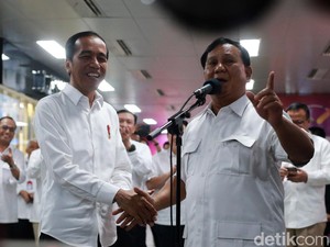 Pujian dan Kritik untuk Prabowo Usai Bertemu Jokowi