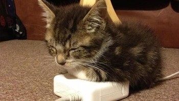 Kalau dulu cari pemanas ruangan untuk menghangatkan badan, sekarang cukup di badan charger. (Foto: Boredpanda.com)