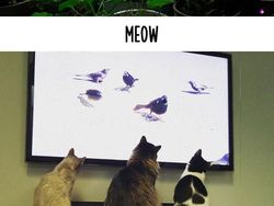 Dampak Kocak Teknologi: Kucing Jadul vs Kucing Zaman Now