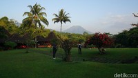 Resor MesaStila dikelilingi beberapa gunung, yang terlihat adalah Andong, Telomoyo dan Merbabu (Ahmad Masaul Khoiri/detikcom)