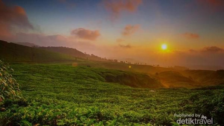 Taman Nasional Gunung Halimun Salak