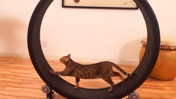 Sudah nggak zaman lagi lari-larian di luar ruangan. (Foto: Boredpanda.com)