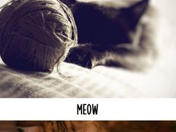 Dampak Kocak Teknologi: Kucing Jadul vs Kucing Zaman Now