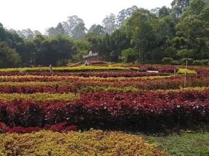 Menikmati Cantiknya Lembang di Akhir Pekan