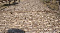 Ramai Soal Ikan Asin, Ini Proses Pembuatan Ikan Asin di Cirebon