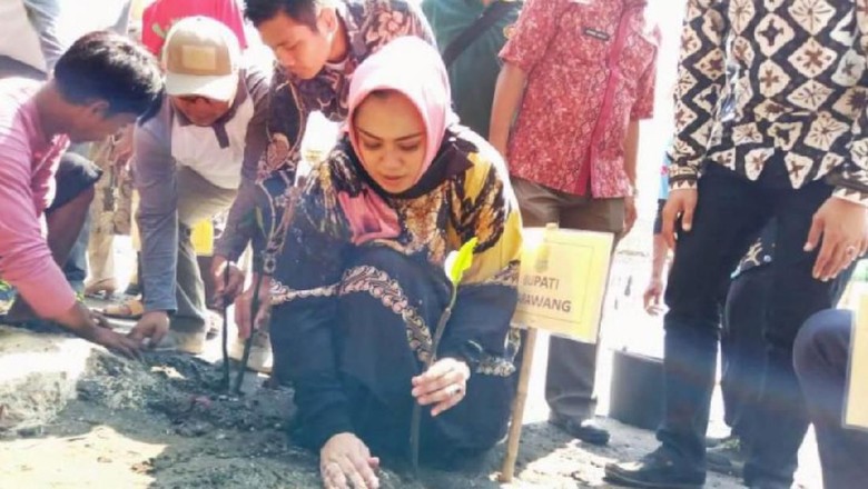 Pertamina Hulu Energi dan Pemkab Karawang Tanam 40.000 Mangrove Pertamina Hulu Energi dan Pemkab Karawang Tanam 40.000 Mangrove