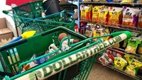 Dollar Tree berencana menutup 390 toko Family Dollar tahun ini sambil merenovasi 1.000 lokasi lainnya. Istimewa/Business Insider.