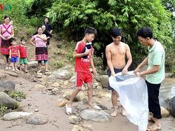 Bertaruh Nyawa! Demi ke Sekolah Seberangi Sungai Pakai Plastik