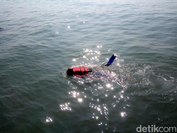 Para pelajar ini menemukan lima gugus terumbu atau gosong berpasir yang menjadi habitat koral atau karang. Lokasinya, 5 kilometer dari Pantai Cibendo. (Luthfiana/detikcom) Para pelajar ini menemukan lima gugus terumbu atau gosong berpasir yang menjadi habitat koral atau karang. Lokasinya, 5 kilometer dari Pantai Cibendo. (Luthfiana/detikcom)