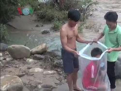 Bertaruh Nyawa! Demi ke Sekolah Seberangi Sungai Pakai Plastik