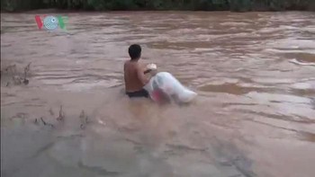 Pria ini akan menarik plastik yang berisikan anak-anak untuk menerjang derasnya arus sungai sepanjang 20 meter. (Foto: VOV)