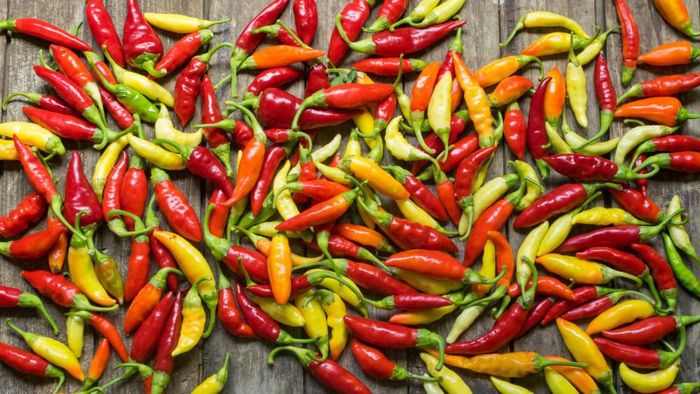 Foto: shutterstock Foto: shutterstock