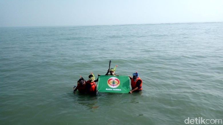 Bara Rimba mencari spot terumbu karang di laut Ciparage (Luthfiana Awaluddin/detikcom) Bara Rimba mencari spot terumbu karang di laut Ciparage (Luthfiana Awaluddin/detikcom)