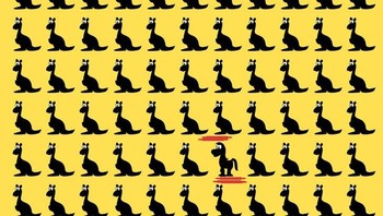 Jawabannya. (Foto: Brightside)