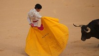 Aksi seorang matador menarik perhatian banteng saat bertarung dalam Festival San Fermin yang digelar di Kota Pamplona, Spanyol. Jon Nazca/Reuters.