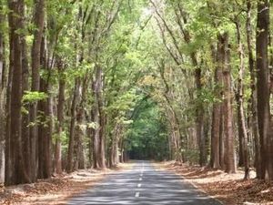 Kocak! Bukan Bali, Ini Rekomendasi Tempat Mistis dari Netizen buat Kristen Gray