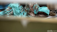 Seorang pencari suaka tertidur lelap di tempat penampungan.