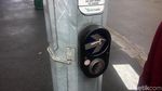 Jangan Asal Nyelonong, Ini Cara Nyeberang Jalan di Melbourne