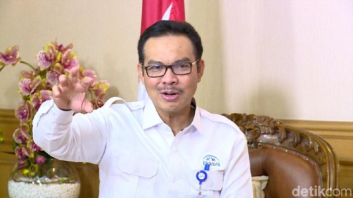 Kepala BKKBN Hasto Wardoyo Kepala BKKBN Hasto Wardoyo